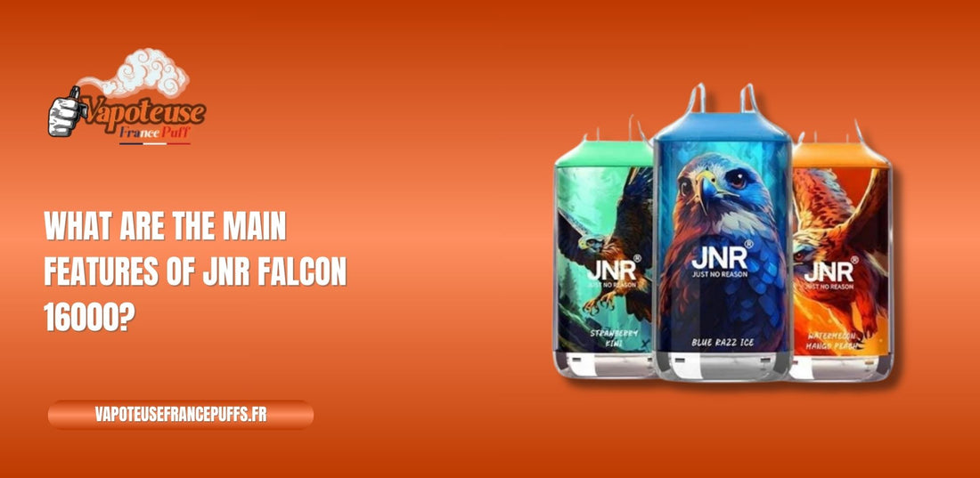 What Are the Main Features of JNR Falcon 16000?