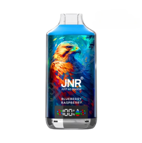 JNR Falcon X 18000 Puffs Wegwerp Vape (Doos van 10)
