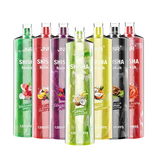 JNR Shisha Hookah 12000 Puffs Wegwerp Vape (Doos van 10)
